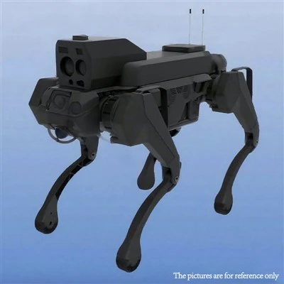Kärnkraftverksinspektion robothund